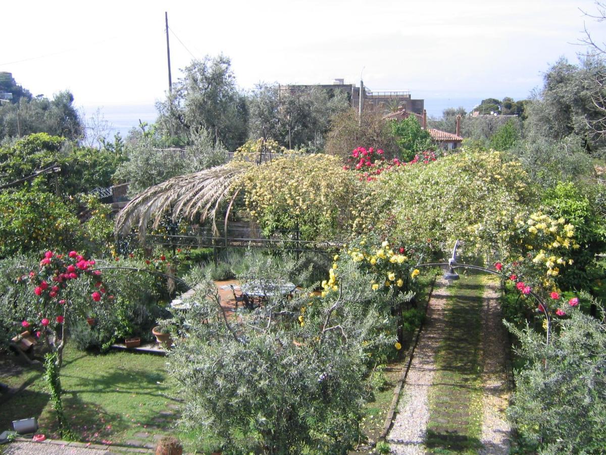Lidia * Sorrente
