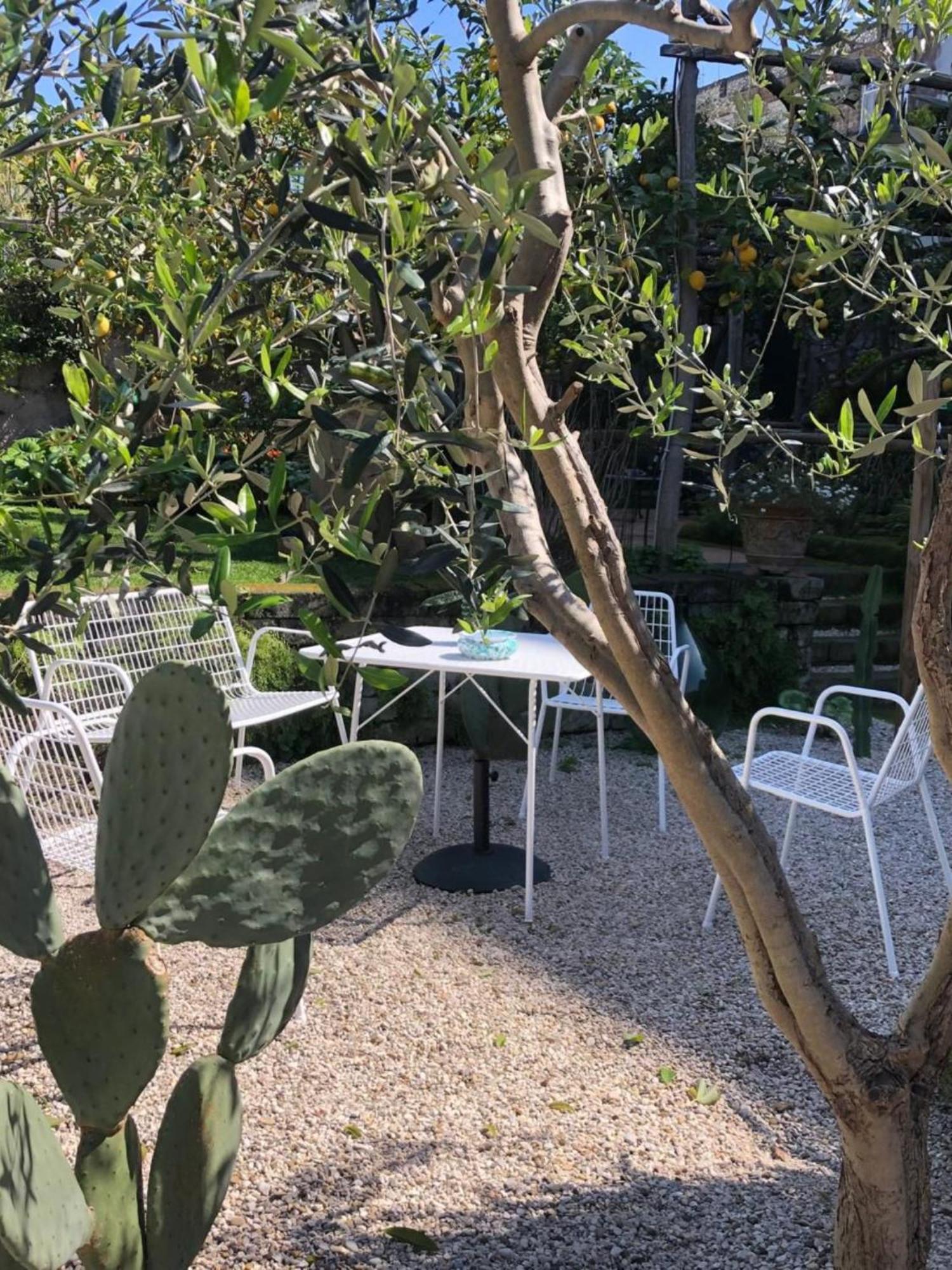 Couette-café Lidia